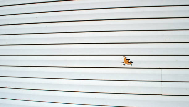 Best Engineered Wood Siding  in Clayton, NJ