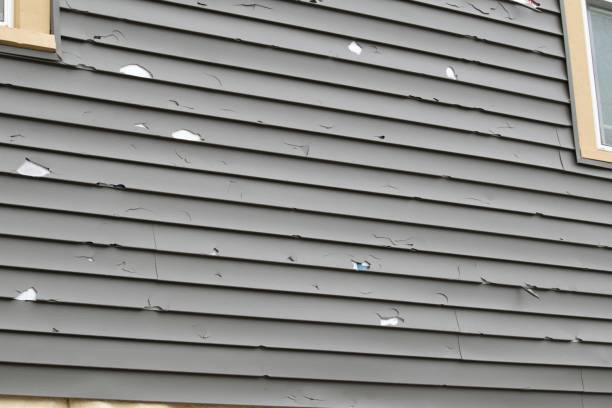 Best Custom Trim and Detailing for Siding  in Clayton, NJ