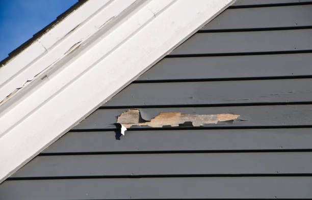Best Composite Siding  in Clayton, NJ